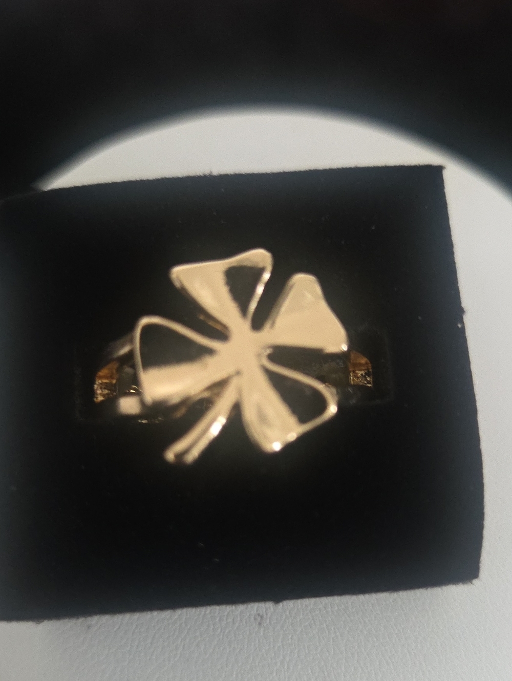 Paparazzi Framed Finish Gold Ring NWT